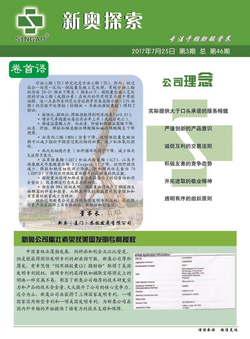 新澳2025年正版资料更新,全面释义解释与落实策略
