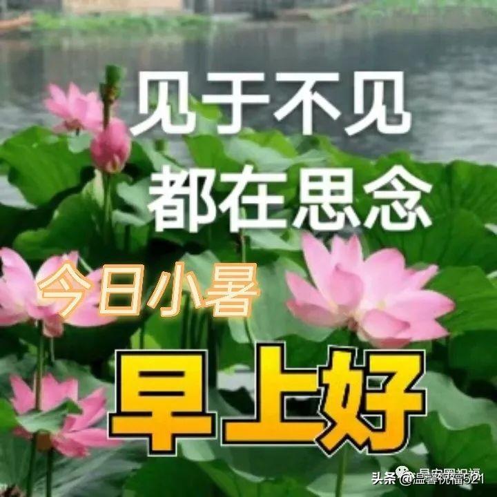 2025年天天彩免费资料全面释义、解释与落实 - 今日金融